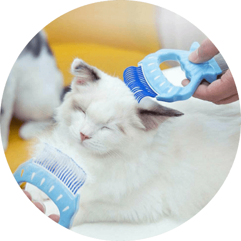 Pet Massage Shell Brush 21 » Pets Impress
