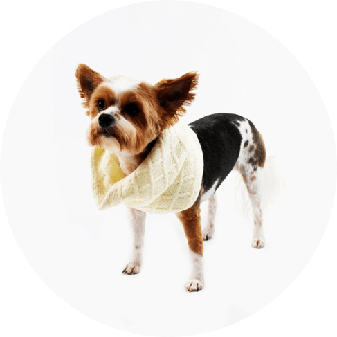 Cream Knit Infinity Scarf for Dogs 9 » Pets Impress