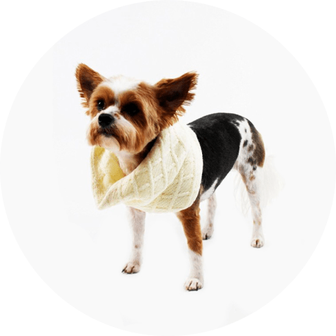 Cream Knit Infinity Scarf for Dogs 11 » Pets Impress