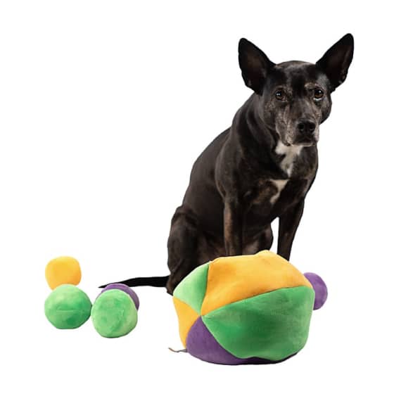 Hide a Ball Dog Puzzle Toy