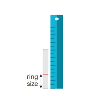 Determine Your Size With a Ruler