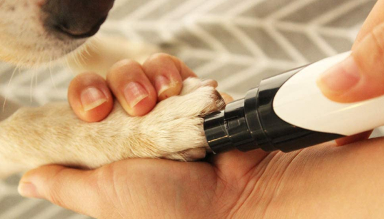 Rechargeable Professional Dog Nail Grinder 01