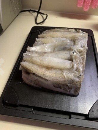 Quick Defrosting Tray