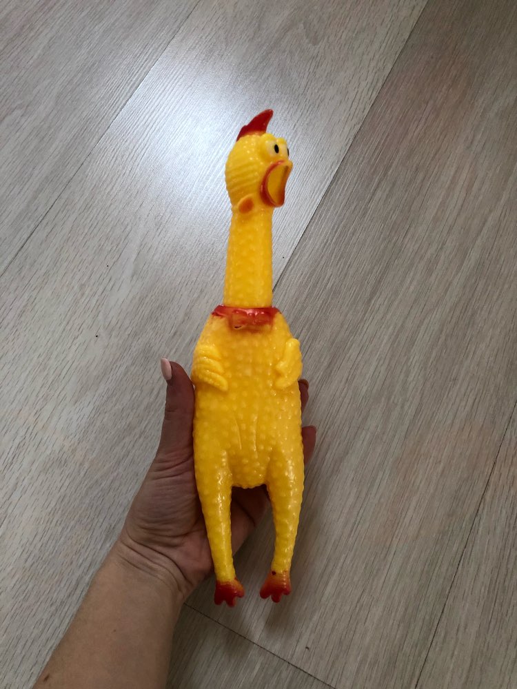 Hot Sell Screaming Chicken