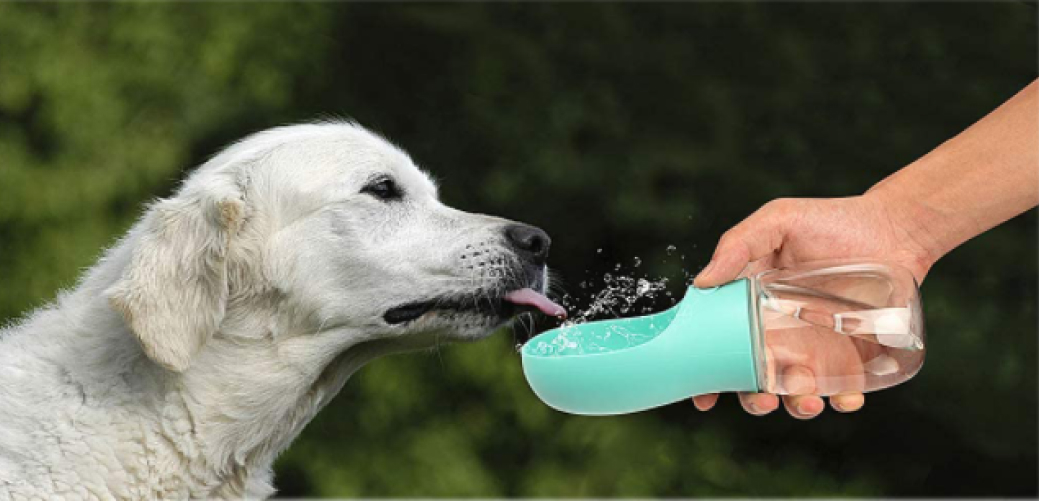 Portable Pet Water Bottle 26 » Pets Impress