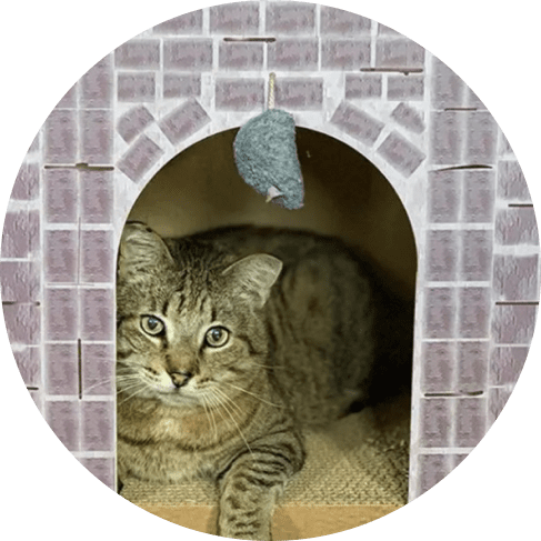 Castle Cat Scratcher House 17 » Pets Impress