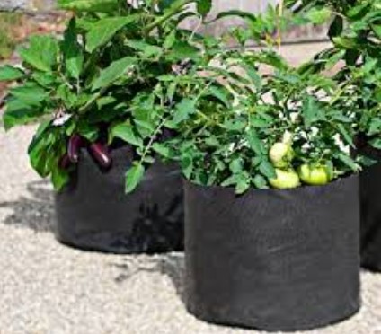 Large Garden Grow Bag  (31 x 12 in)