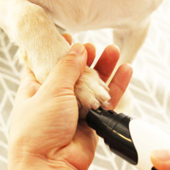 Rechargeable Professional Dog Nail Grinder 05
