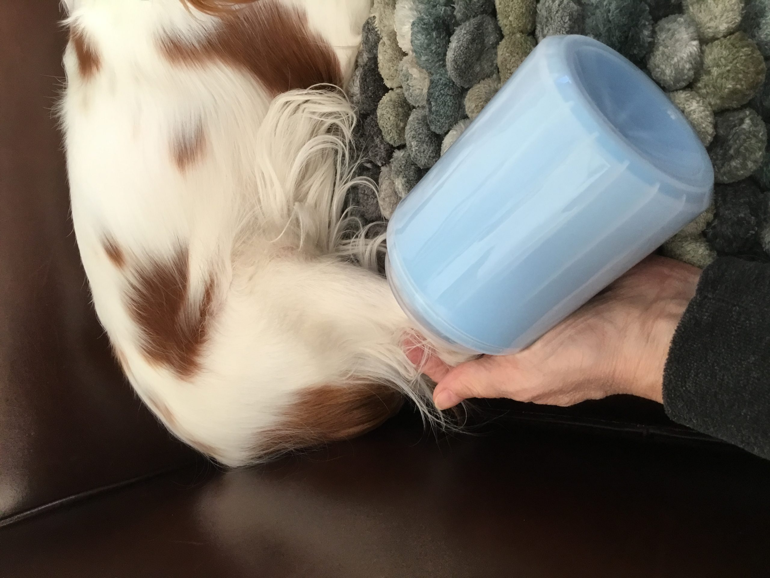 Soft Pet Paw Cleaner