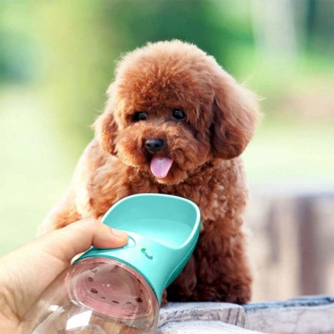 New Portable Pet Water Bottle 31 » Pets Impress