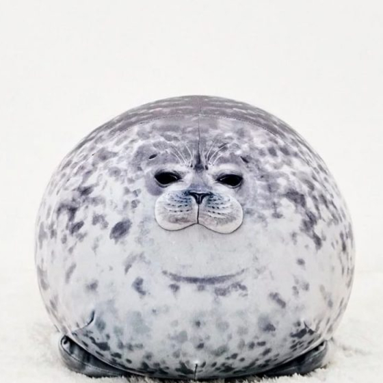 Squishy seal sale toy