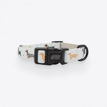 101 Dachshund' Dog Collar