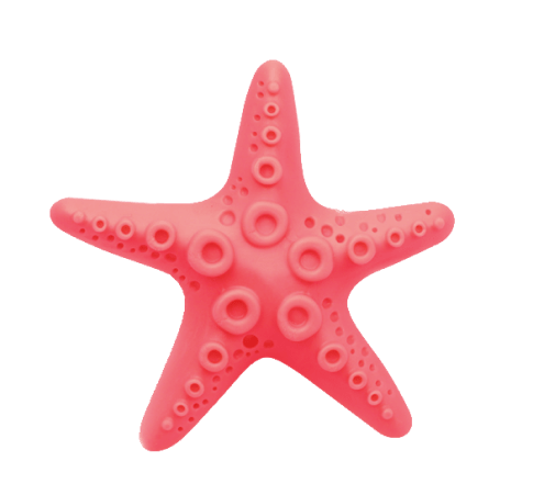 Mini Starfish Car Vent Air Freshener