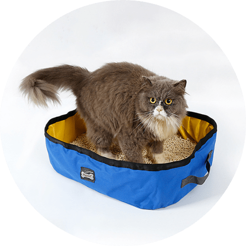 Portable Cat Litter Box 6 » Pets Impress