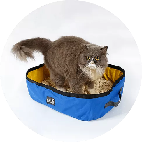 1-min - 2021-08-18T115613.439