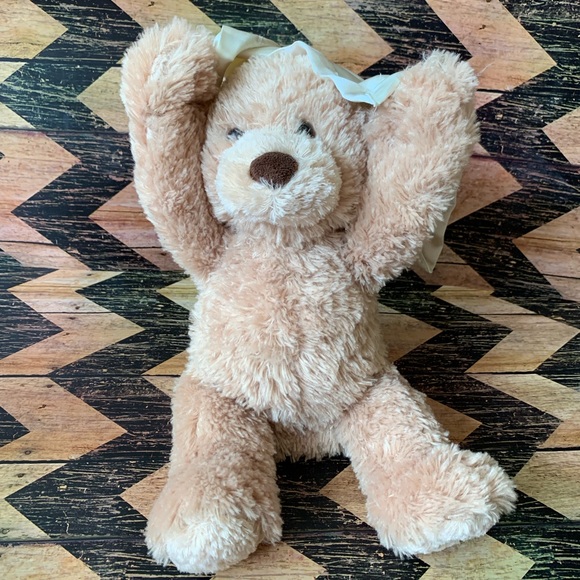 Peek-a-Boo Bear Toy