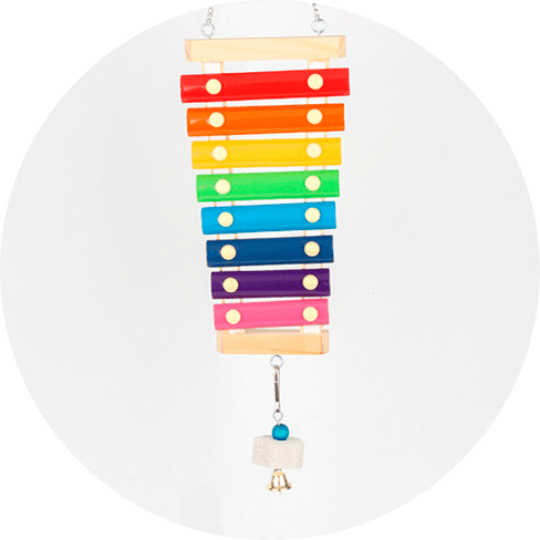 Xylophone Toy For Birds 14 » Pets Impress