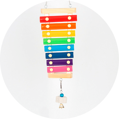 Xylophone Toy For Birds 15 » Pets Impress