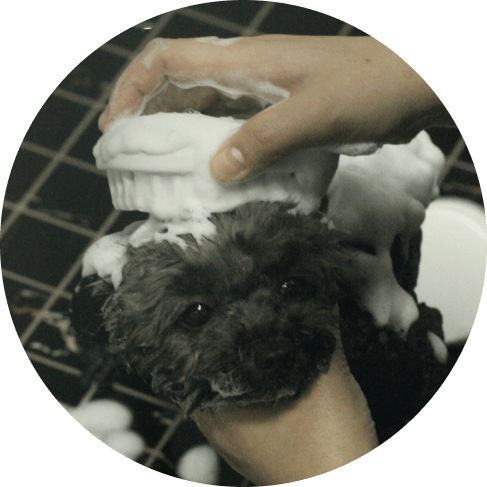 Grooming Bath Brush 7 » Pets Impress