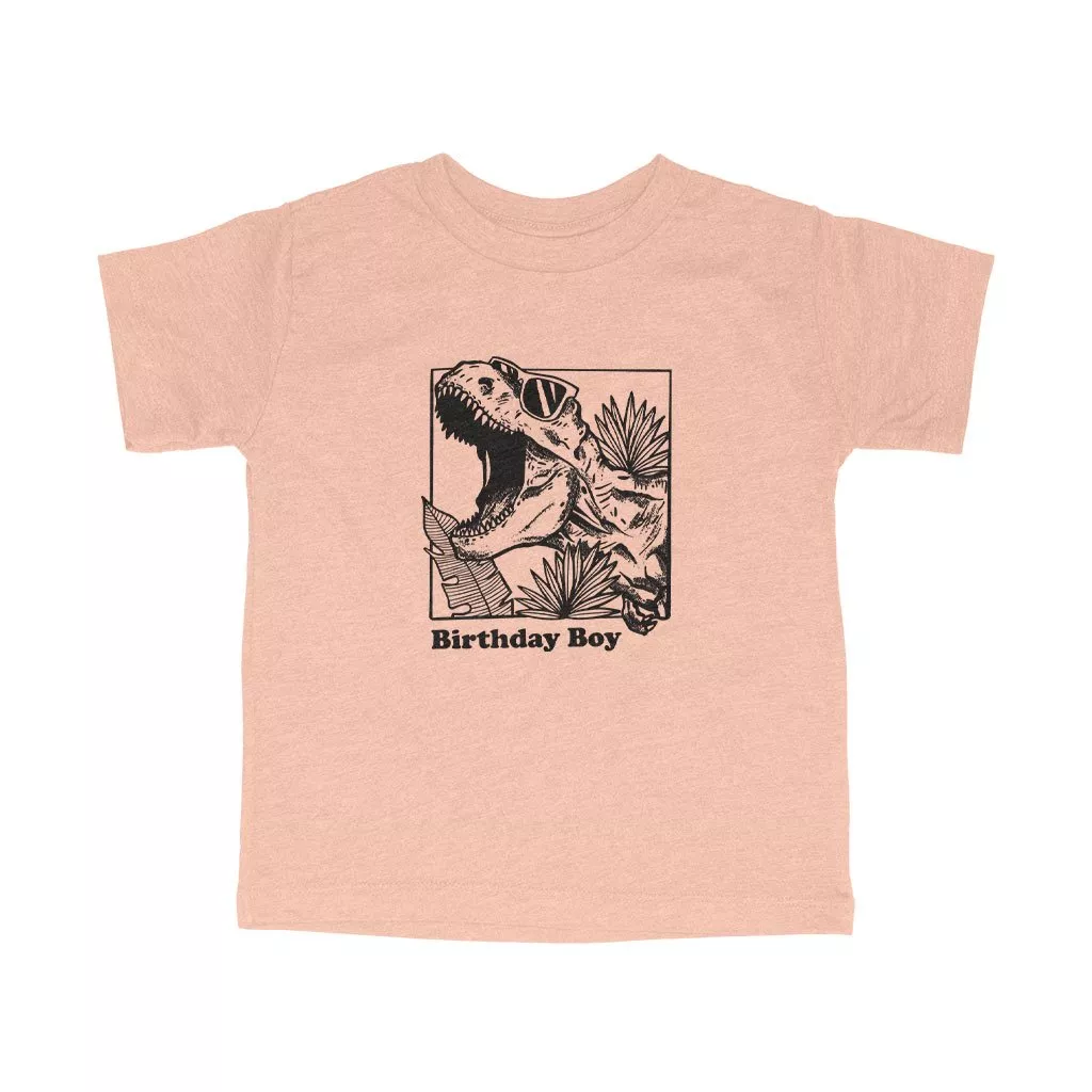 3413T-V-PeachTriblend-1