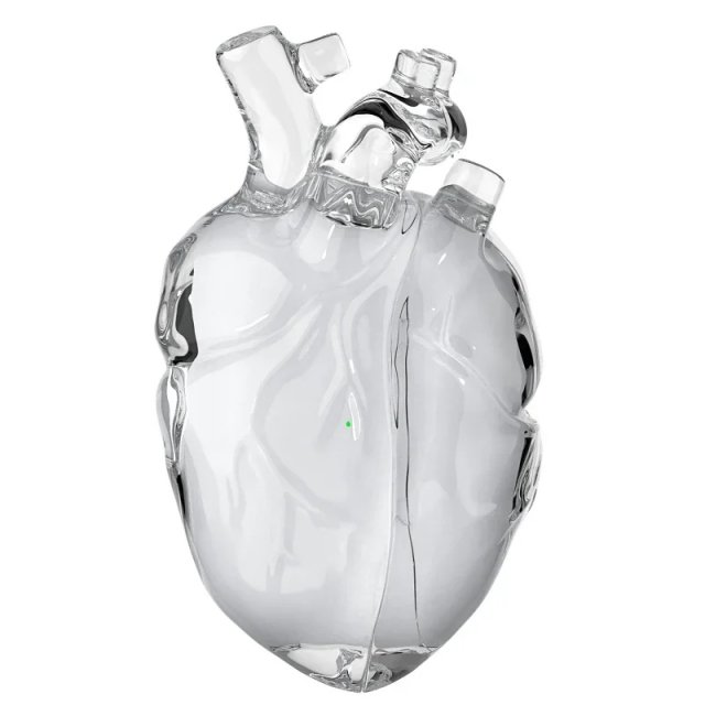 Transparent Silicone AirPods Pro/2/3 Case for Apple - Fall Prevention Cover