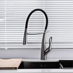 Luxury Black Brass Kitchen Faucet with Pull-Out Magnetic Suction