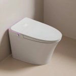 Multi-Function Smart Bidet Toilet with Auto Flush, Heated Seat, and Air Drying