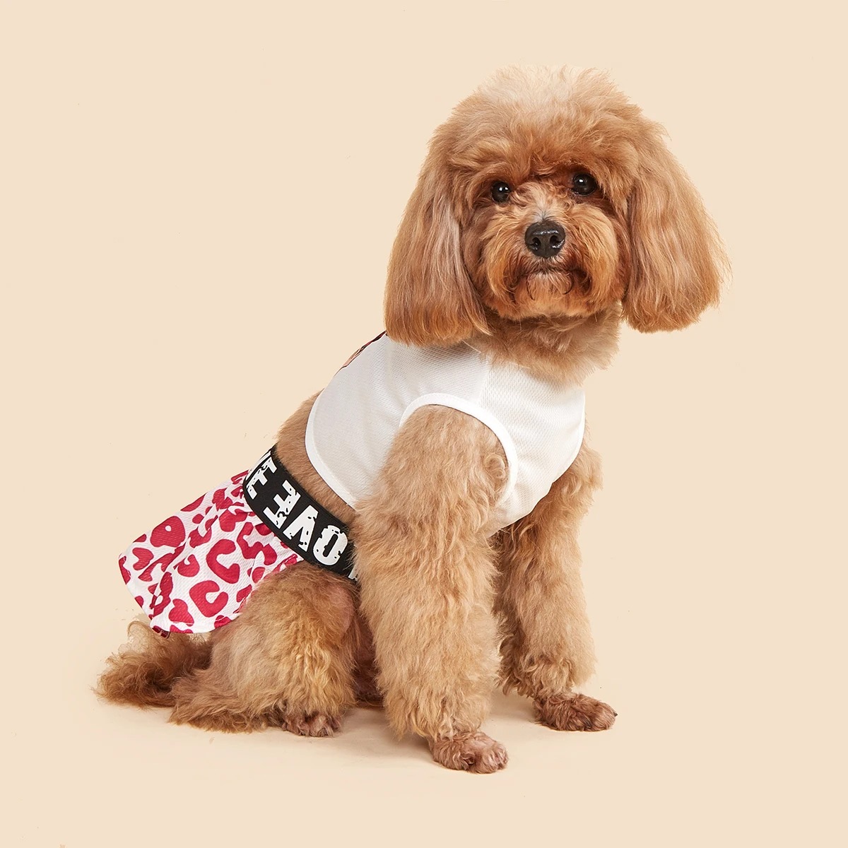 Two-Piece Leopard Print Dog Dress
