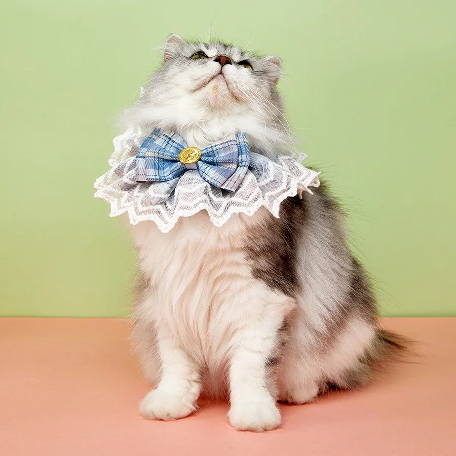 Adorable Lace Bowtie Cat and Dog Bib