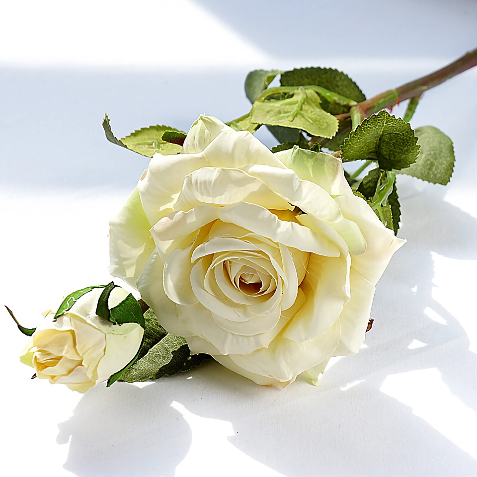 Silk milk white