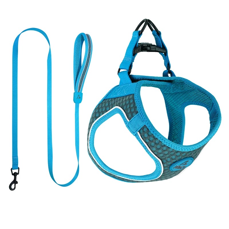 1.5M Dog Leash and Vest Harness Set for Small to Medium Breeds view 2