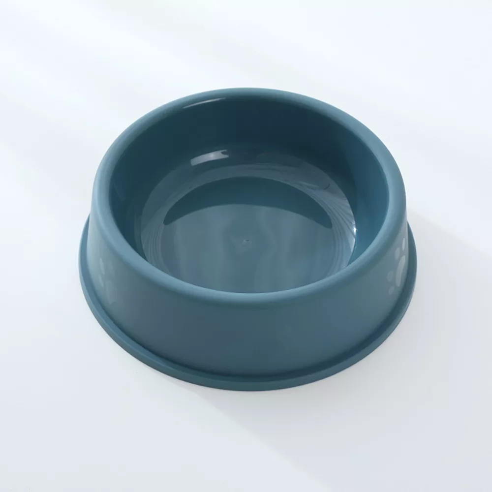 101041-46af08.webp