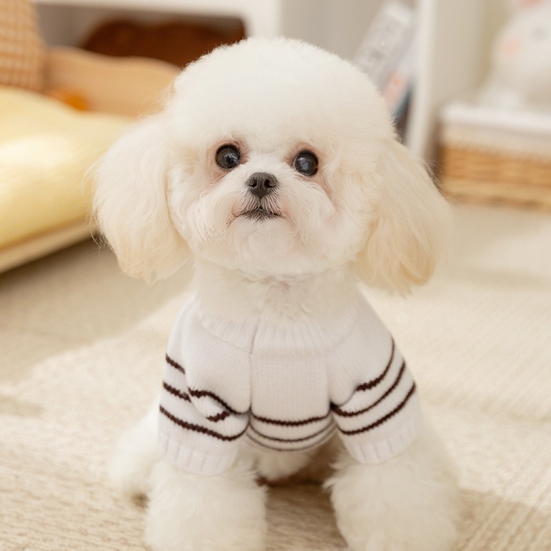 Small Dog Striped Cardigan Sweater Apparel & Accessories Pets Size : S|XS|M|XL|L 