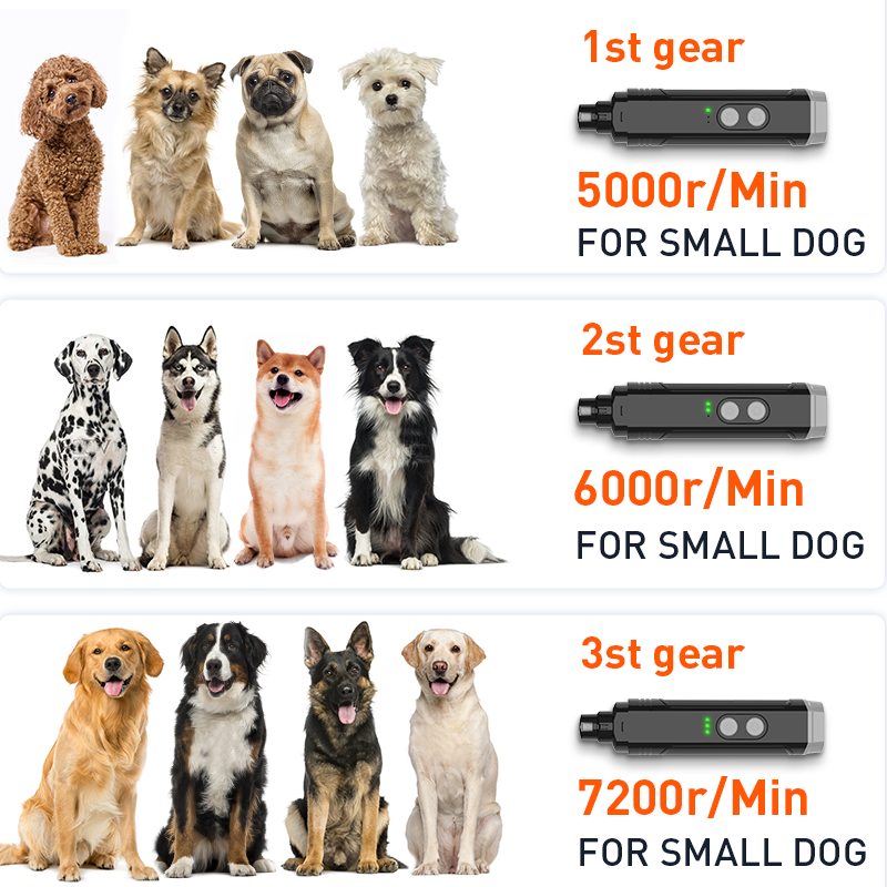 Electric Pet Nail Grinder with LED Lights – Rechargeable Dog & Cat Nail Trimmer Grooming Pets Color : Black 