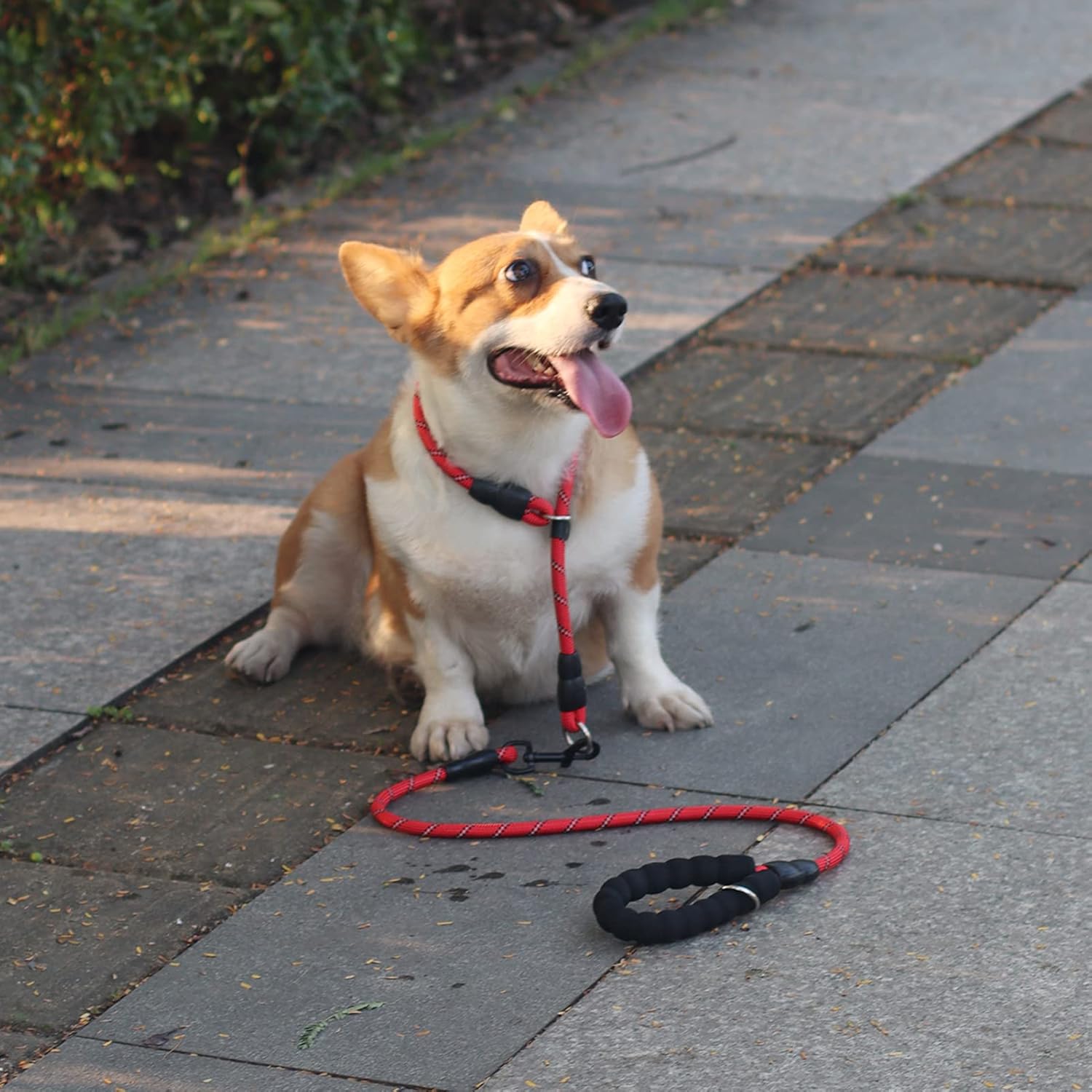 No Pull Reflective Dog Slip Collar with Adjustable Sliding Stopper for Training Pet Supplies Walking & Traveling Supplies https://fairsmartshop.com/no-pull-reflective-dog-slip-collar-with-adjustable-sliding-stopper-for-training/