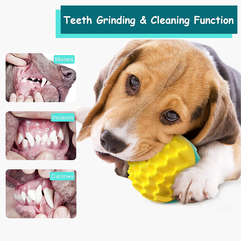 Interactive Dog Ball Chew Toy for Teeth Cleaning & Fun for All Dog Sizes Pet Supplies Pet Toys https://fairsmartshop.com/interactive-dog-ball-chew-toy-for-teeth-cleaning-fun-for-all-dog-sizes/