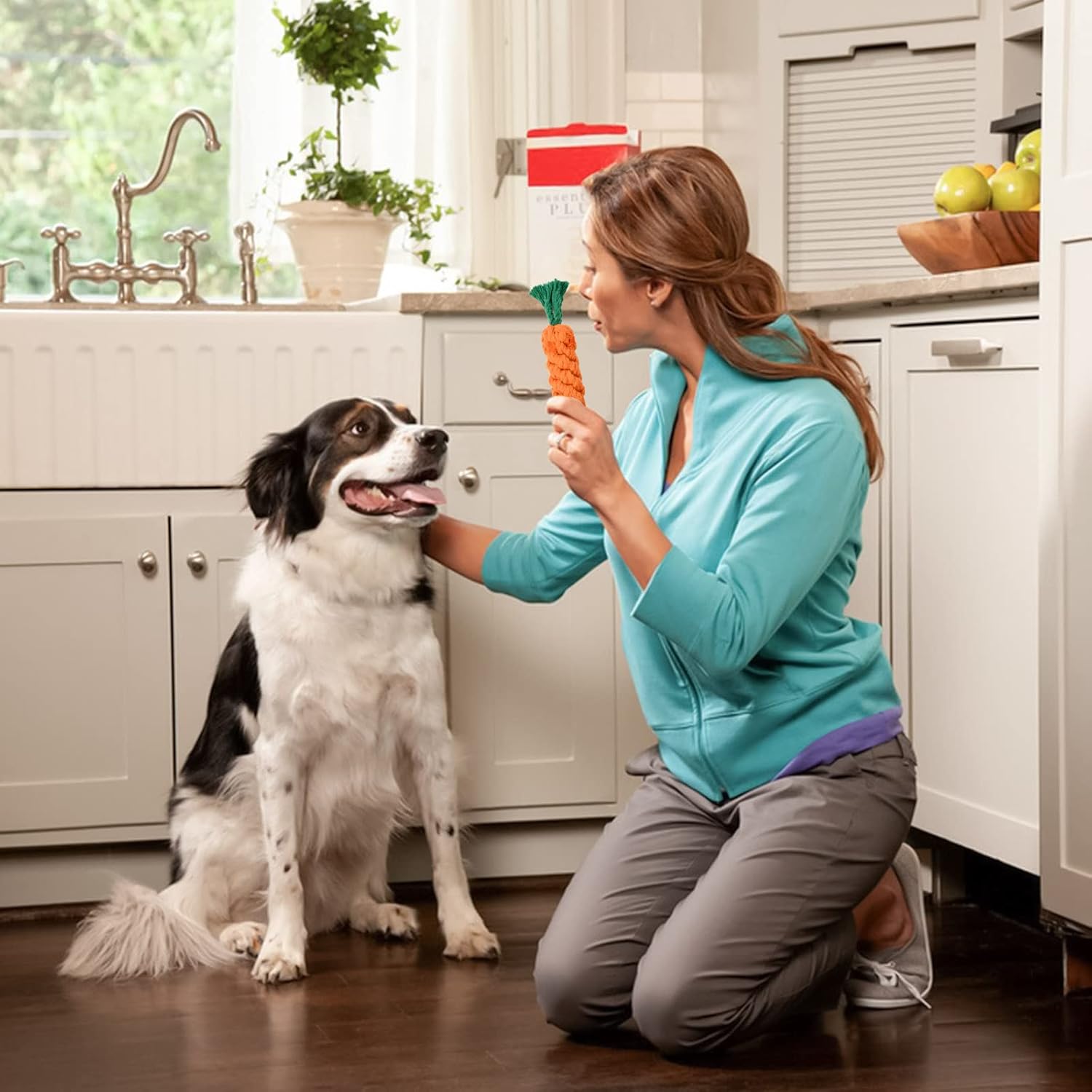 Dog Chew Toy Carrot Rope Pet Supplies Pet Toys https://fairsmartshop.com/dog-chew-toy-carrot-rope/