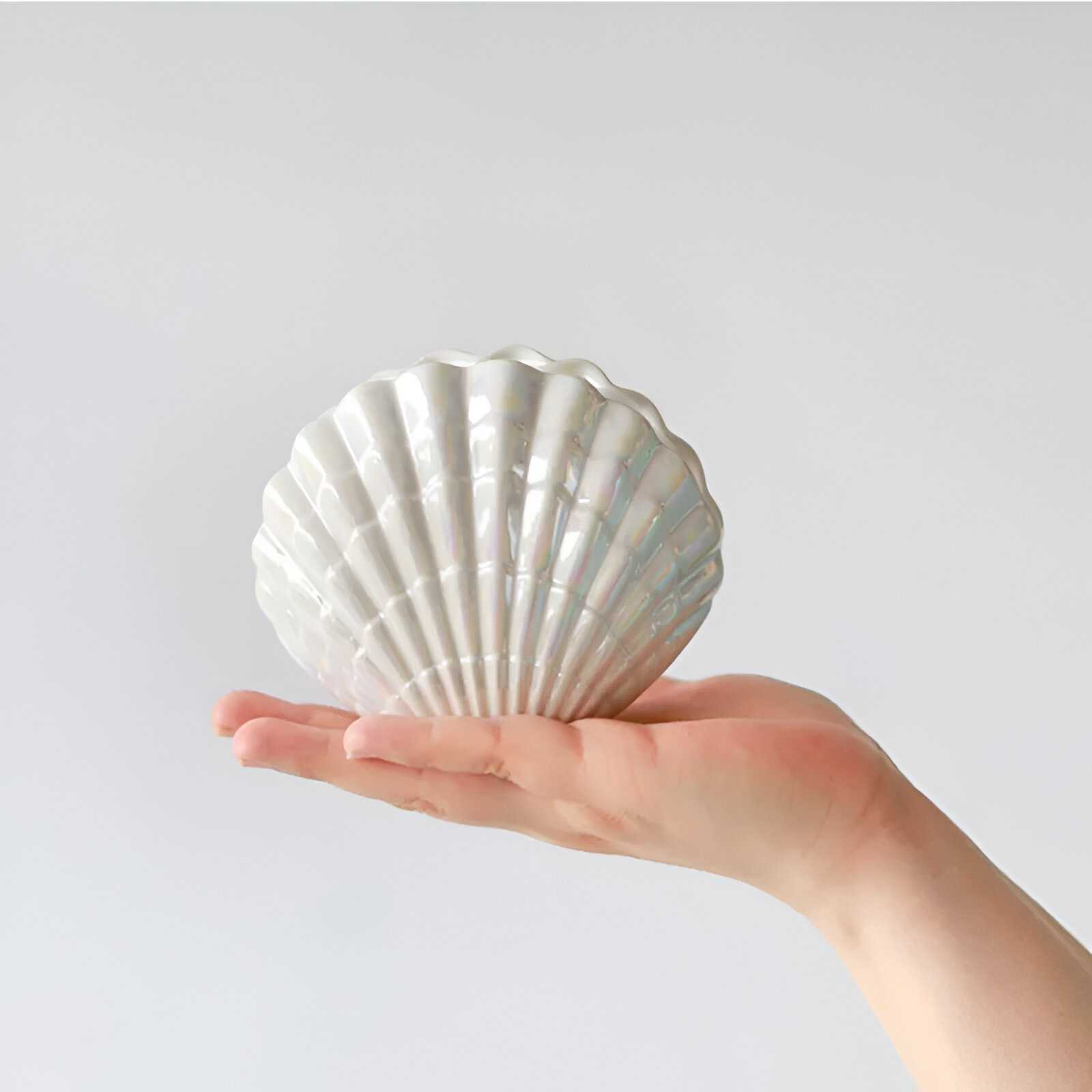 European Modern Ceramic Scallop Toothbrush Holder - Stylish Bathroom Accessory Bathroom Home & Garden https://fairsmartshop.com/european-modern-ceramic-scallop-toothbrush-holder-stylish-bathroom-accessory/