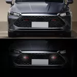 Car Front Hood Grille LED Light for Nissan, Altima, Juke & Teana - LED Decorative Lights 6 99212a731972d5b4c522a086e2852206.jpg