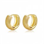 Gold Small Hoop Earrings for Women