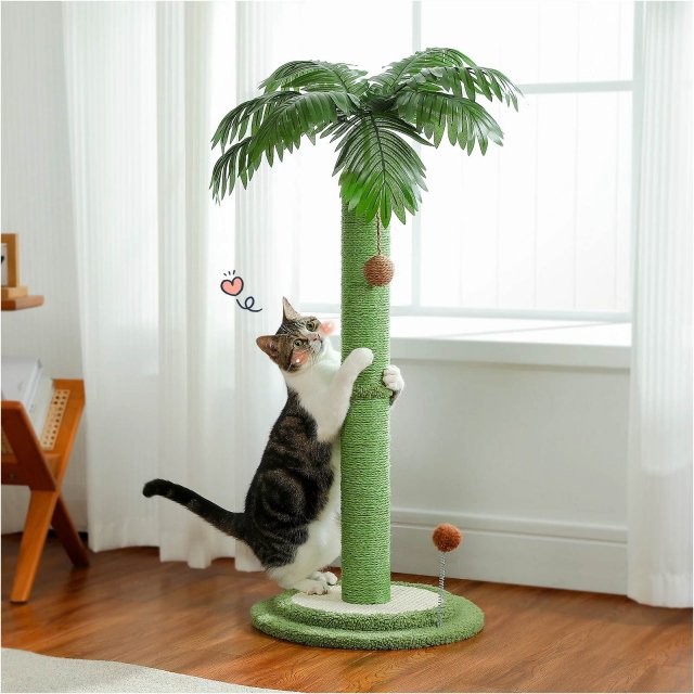 Interactive Cat Scratching Post with Balls for Large Cats