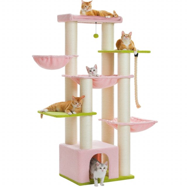 Large Cat Tree for Big Cats