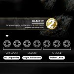 Luxury Moissanite Iced Out Ring for Men – 925 Sterling Silver Bling