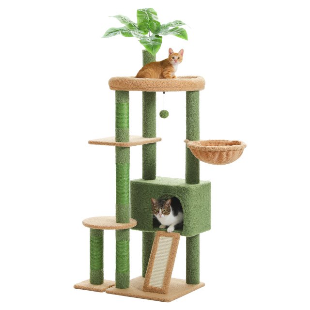 Multi-Level Cactus Cat Tree