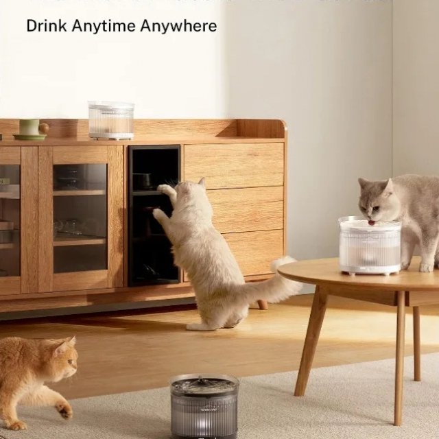 Cordless Pet Fountain for Cats - Image 3