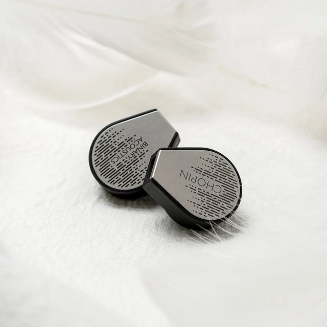 Hybrid Audiophile Earphones - Image 2