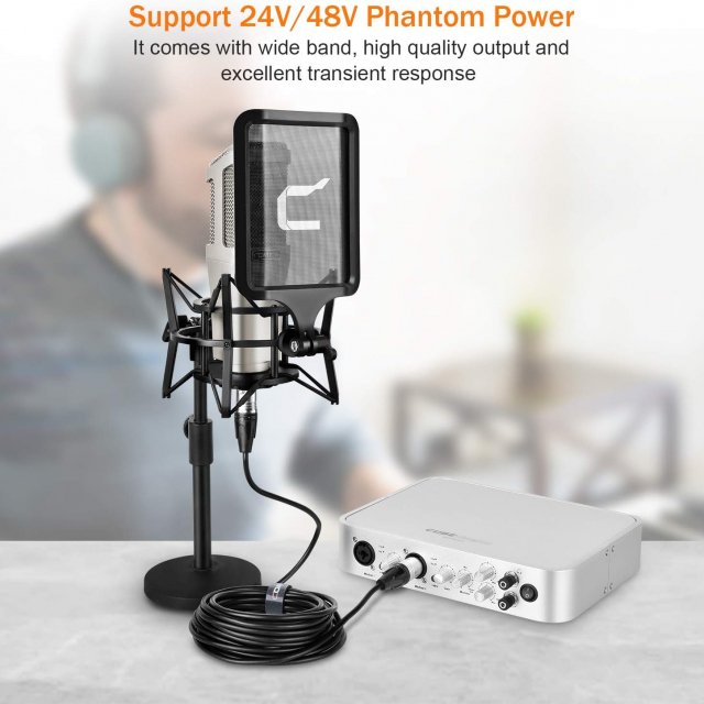 Studio Condenser Microphone with Large Diaphragm & Phantom Power Support - Image 4