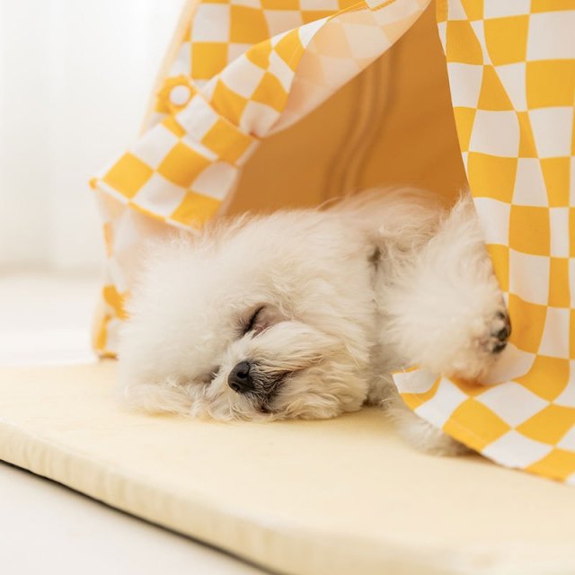 Cozy Tent Bed with Mat for Small Dogs and Cats – Soft Pet Basket Kennel - Image 3