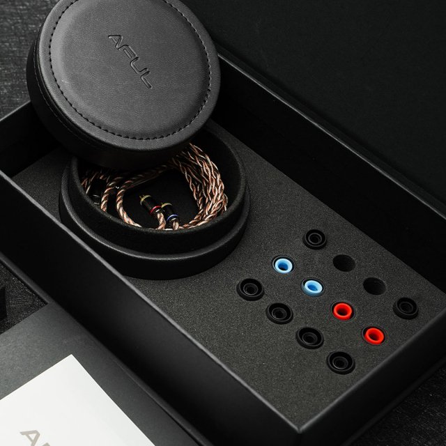 Hybrid Audiophile IEMs - Image 7
