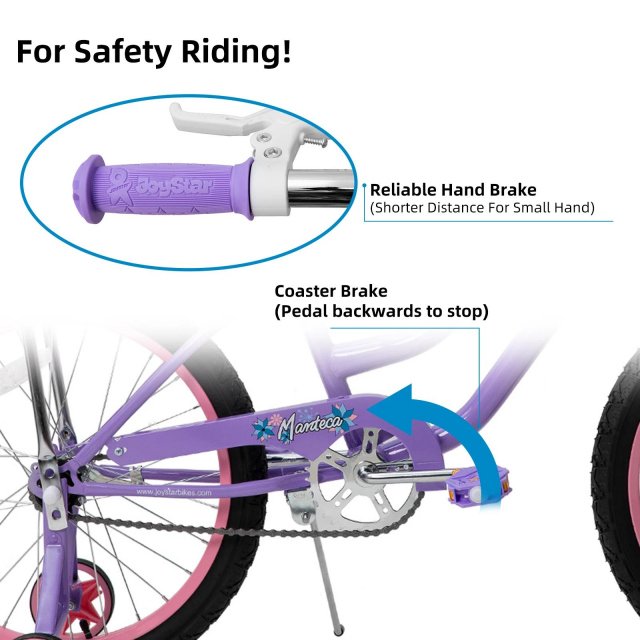 20 Inch Girls Bike with Training Wheels, Banana Seat, Hand & Coaster Brakes - Image 3